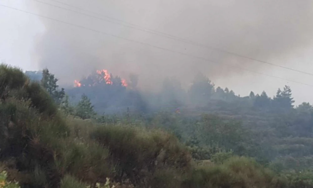 Μεσσηνία: Φωτιά ξέσπασε στην Αγία Παρασκευή - 2 μέτωπα μεταξύ Λαδά και Καρβελιού